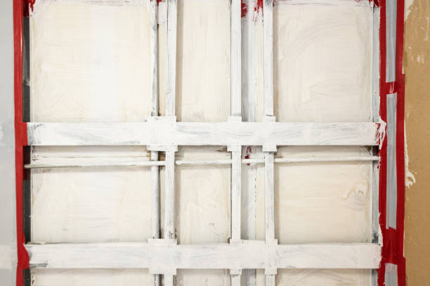 Best Attic Mold Removal  in Harlowton, MT