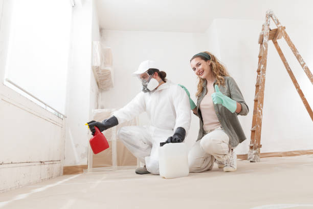 Harlowton, MT Mold Removal Company