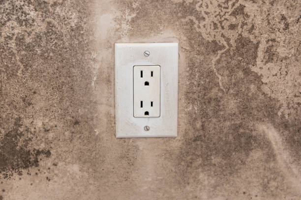 Best Mold Remediation for Vacation Homes  in Harlowton, MT